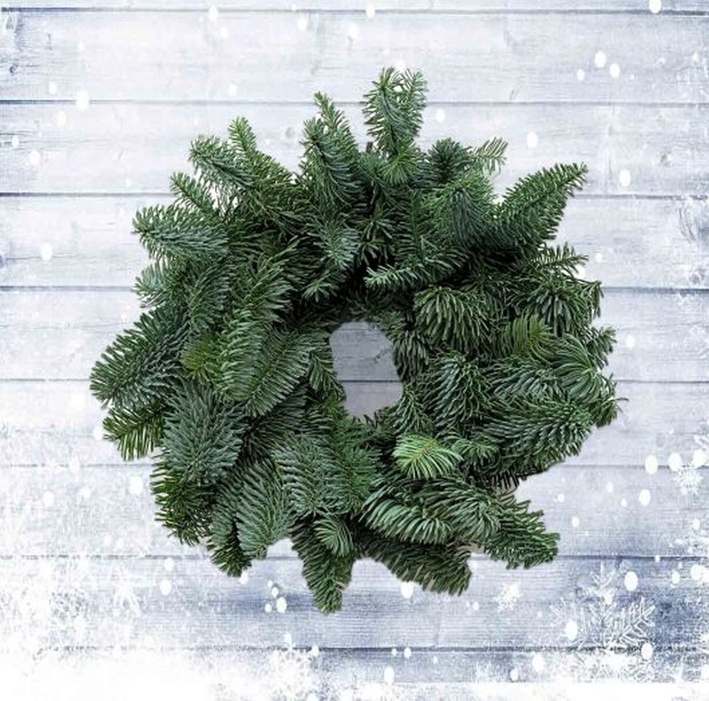 Classic Plain Foliage Wreath 8inch