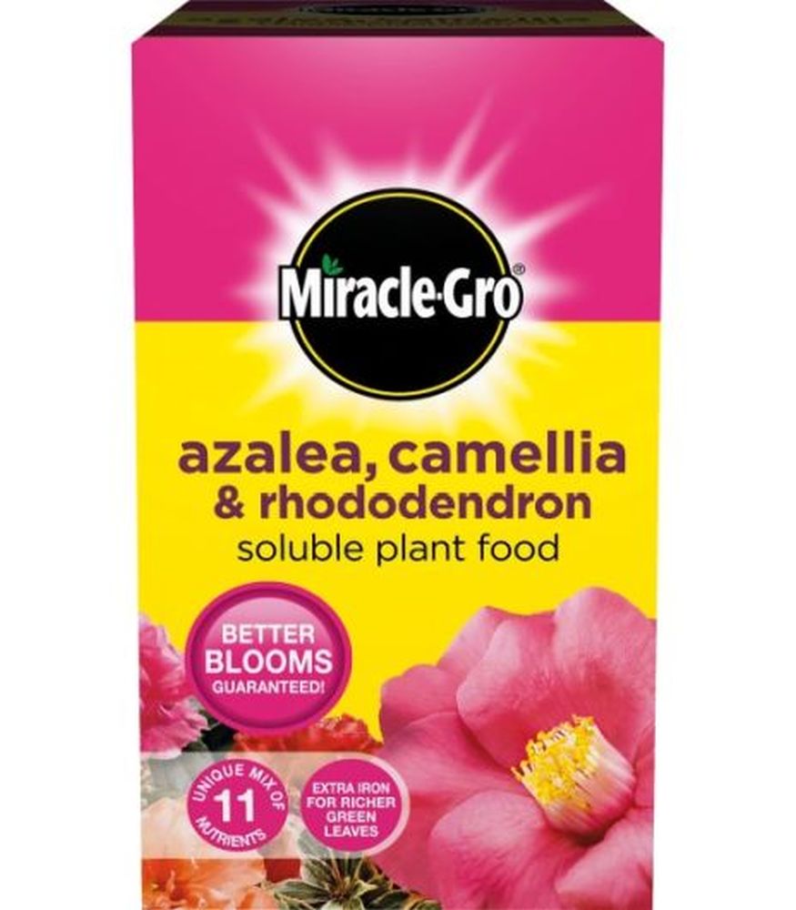 Miracle-Gro Ericaceous