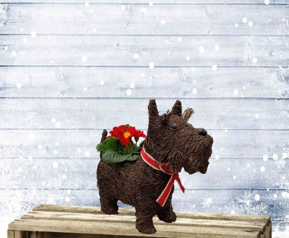 Novelty Scotty Dog