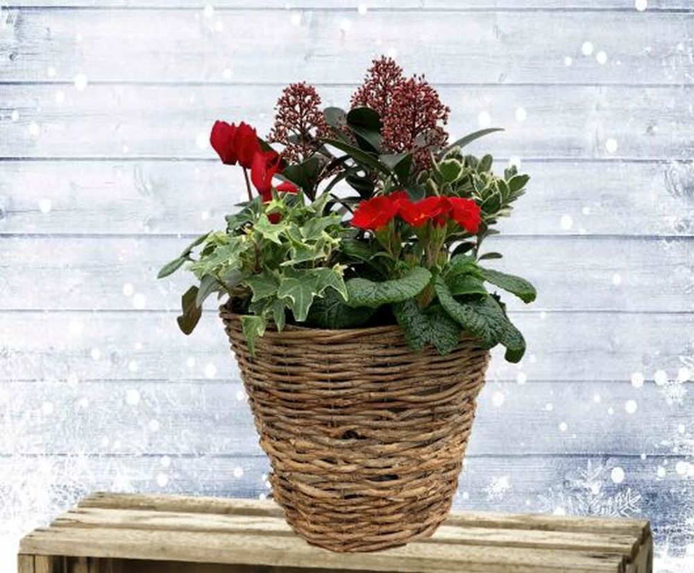 Winter Log Basket 25cm
