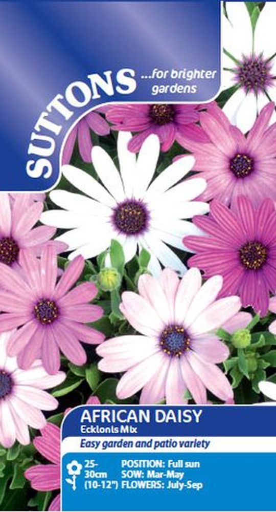 African Daisy Seeds - Ecklonis Mix