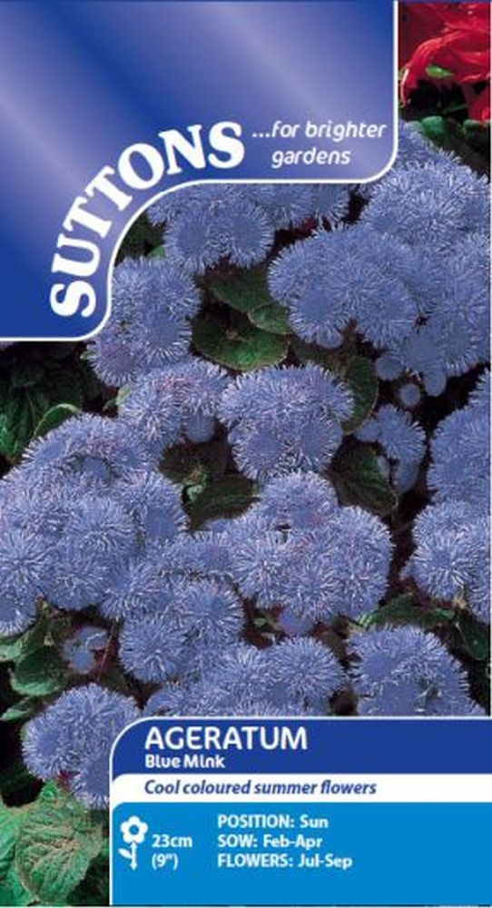 Ageratum Timeless Mix