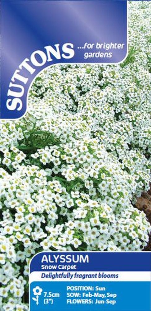 Alyssum Seeds - Snow Carpet (improved St