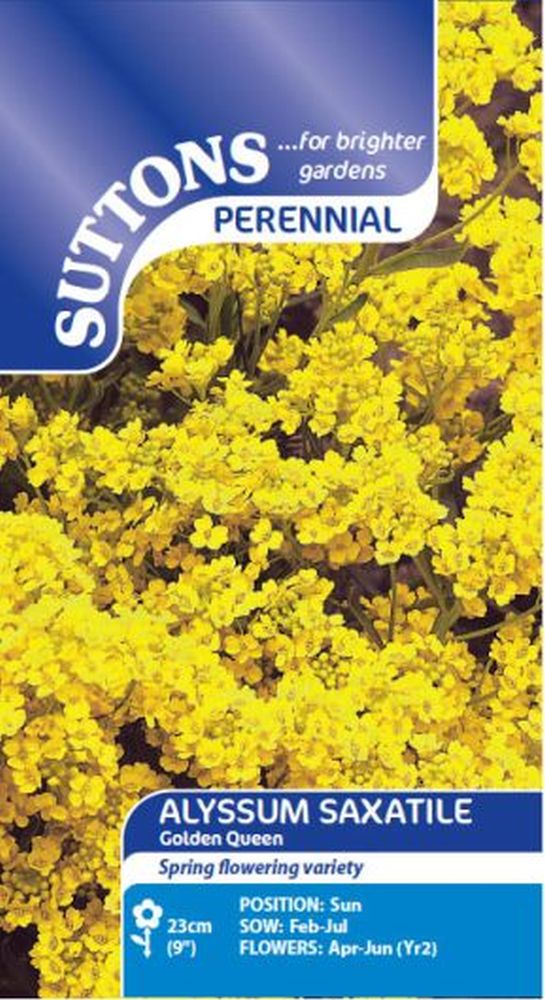 Alyssum Saxatile Seeds - Golden Queen