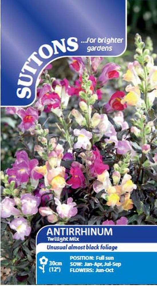 Antirrhinum Twilight Mix