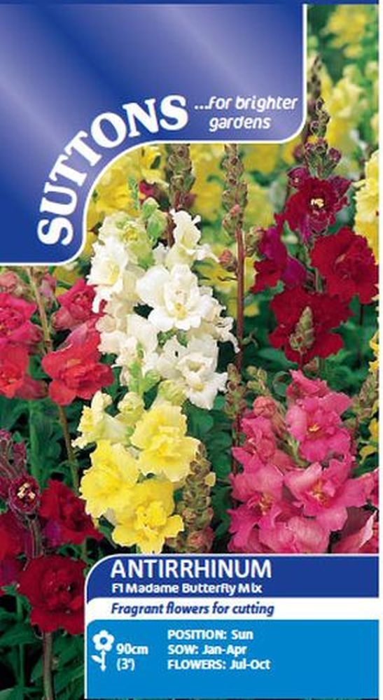 Antirrhinum Madame Butterfly Mix F1