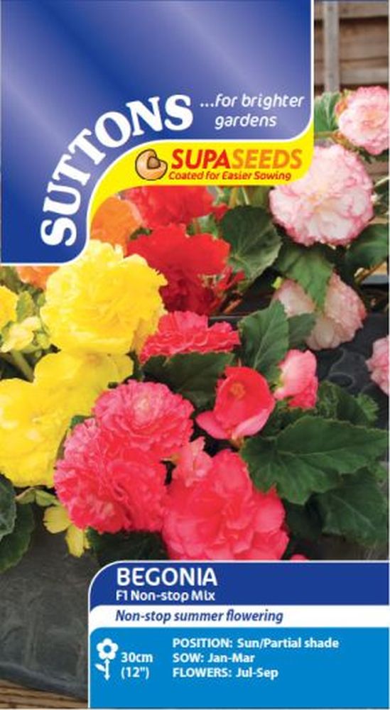 Begonia Non-Stop Mix F1