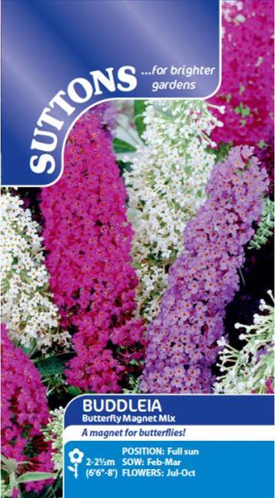 Buddleia Butterfly Magnet Mix