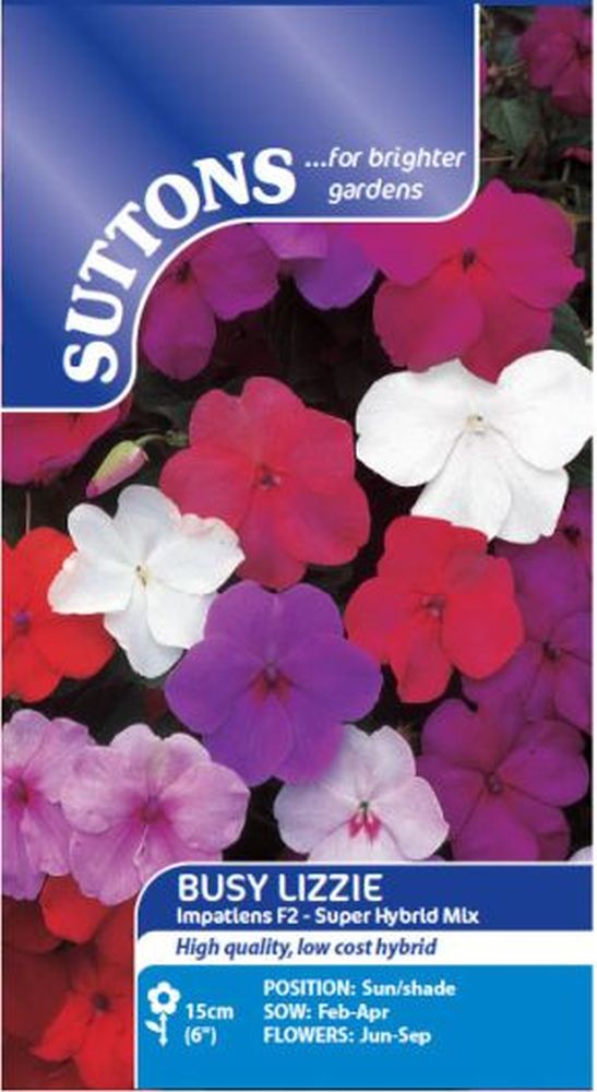 Busy Lizzie Value Hybrids - Impatiens