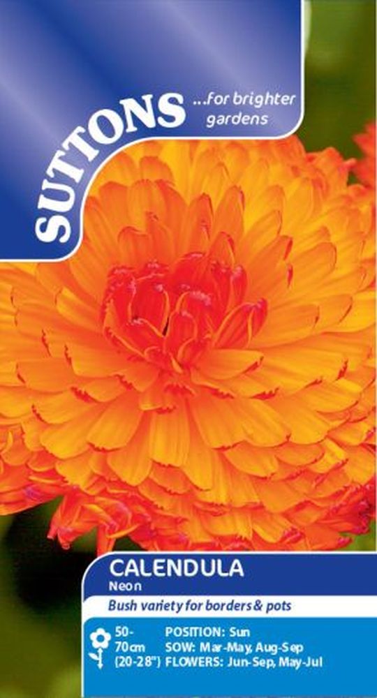 Calendula* Neon