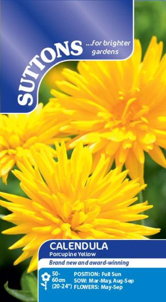 Calendula Seeds - Porcupine Yellow