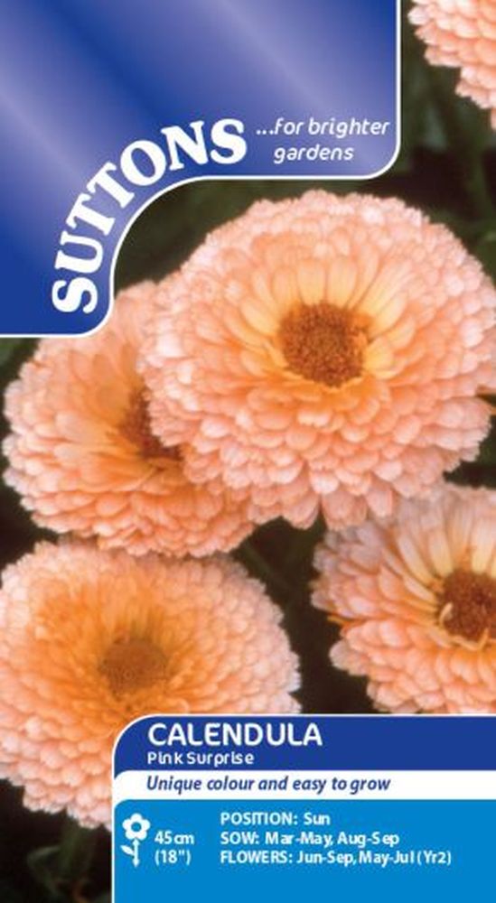 Calendula* Pink Surprise