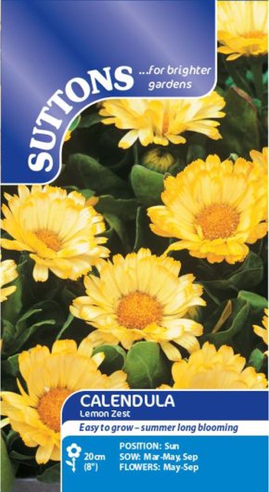 Calendula* Lemon Zest