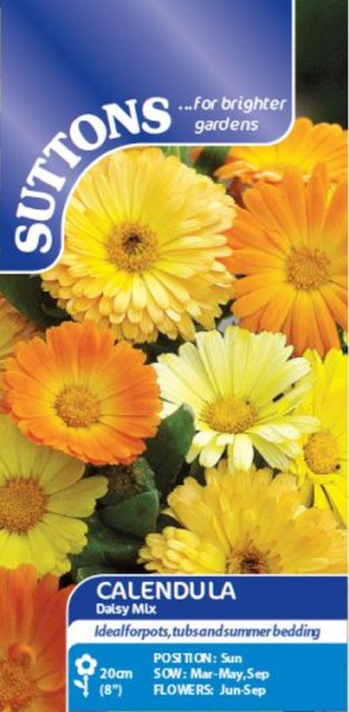 Calendula* Daisy Mix