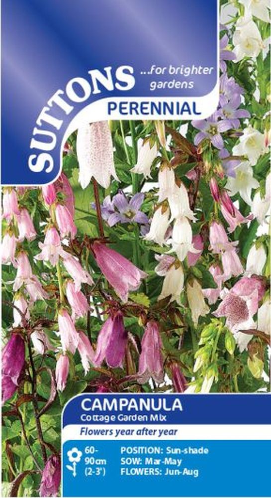 Campanula Cottage Garden Mix