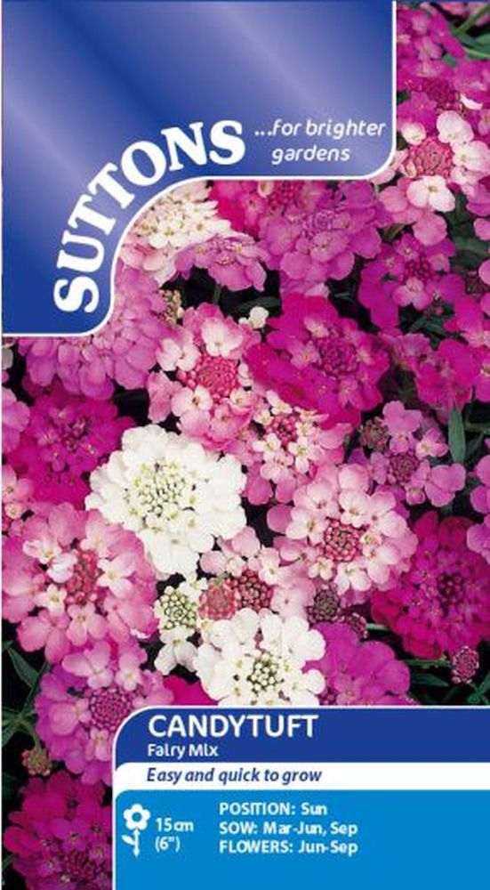 Candytuft Fairy Mix