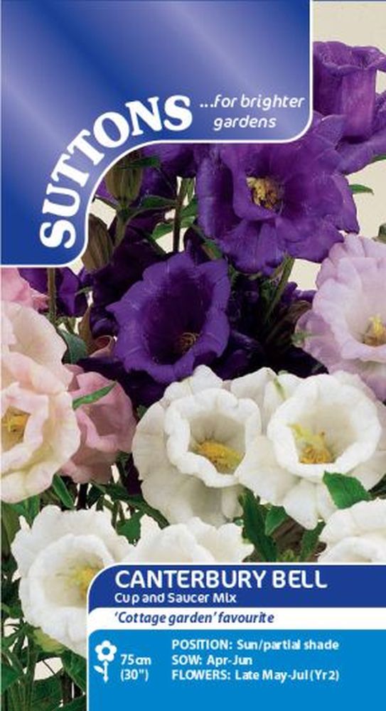 Canterbury Bell Cup & Saucer Mix