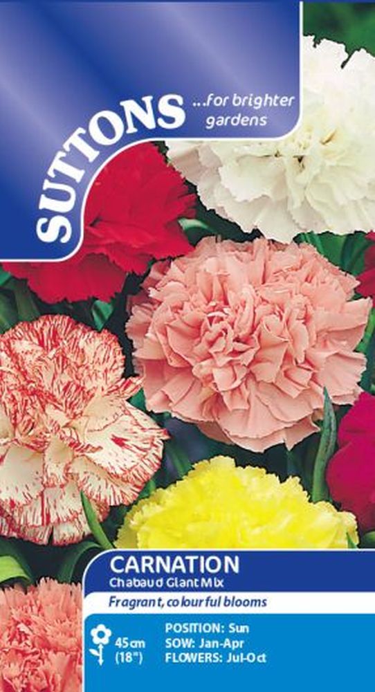 Carnation* Chabaud Giant Mix
