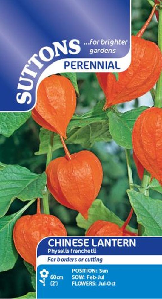Chinese Lantern Seeds
