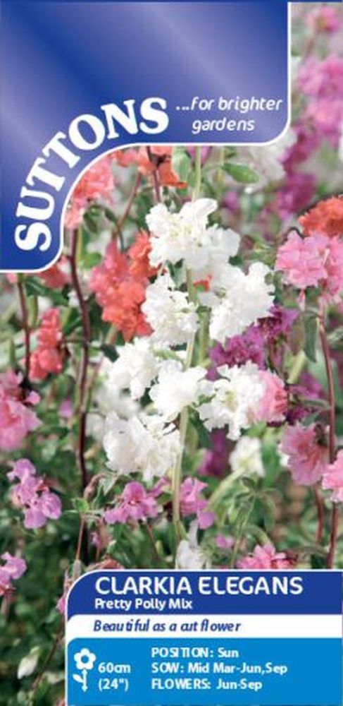 Clarkia Elegans Pretty Polly Mix