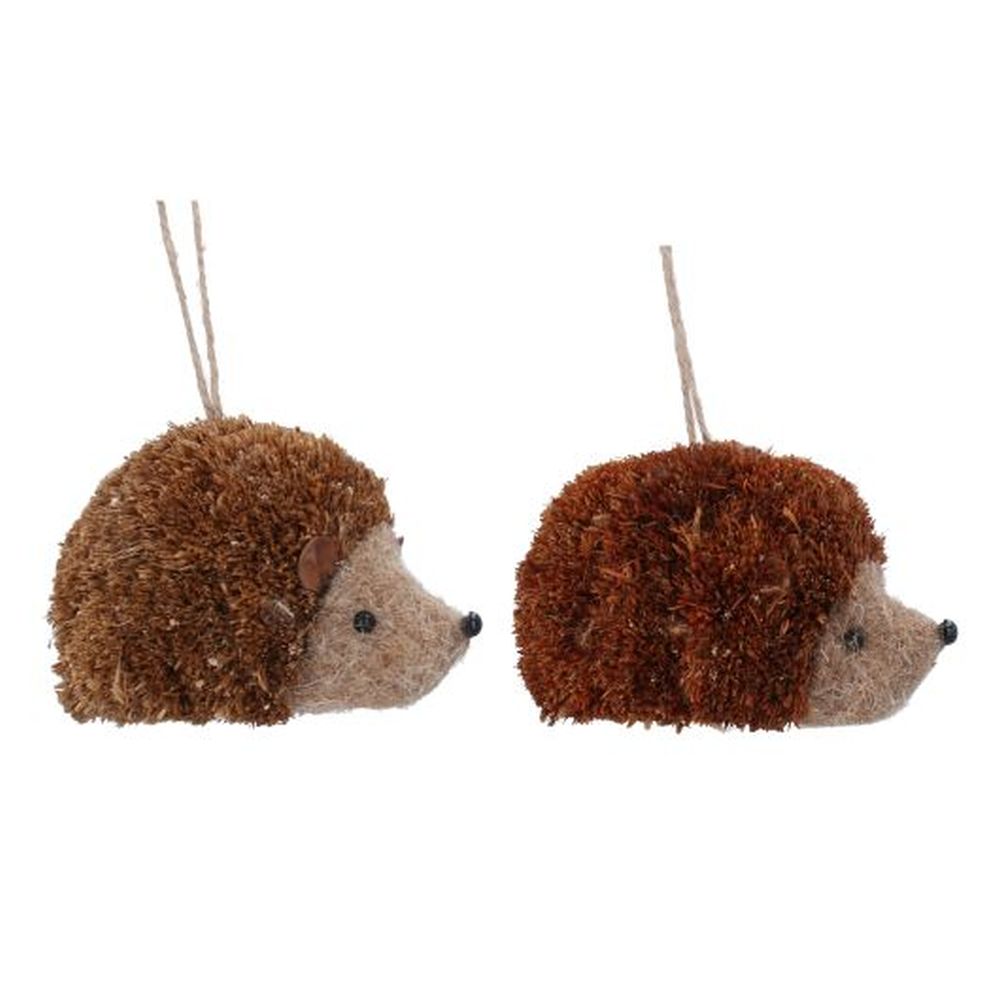 Bristle Hedgehog Dec