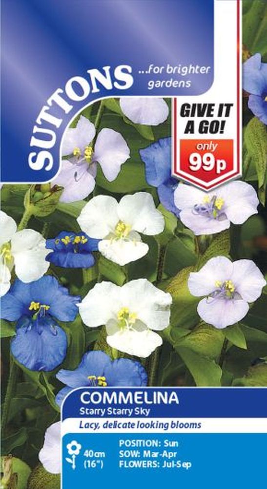Commelina Starry Starry Sky (giag)