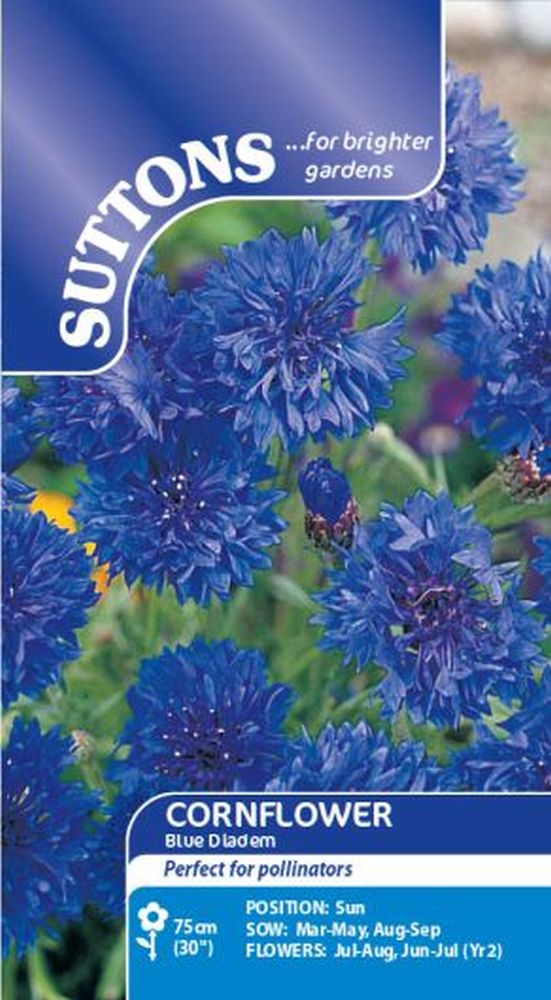 Cornflower Blue Diadem