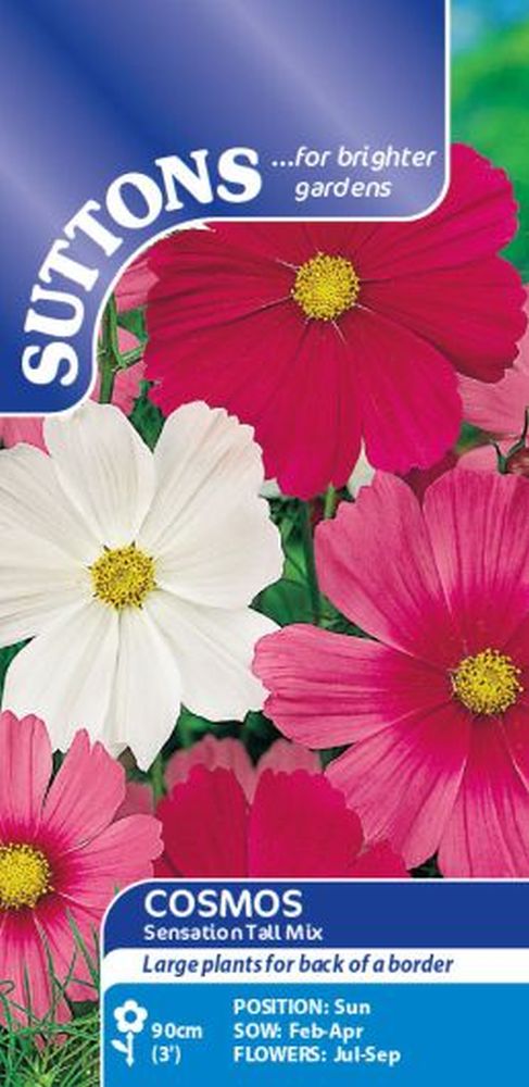 Cosmea Seeds - Sensation Tall Mix