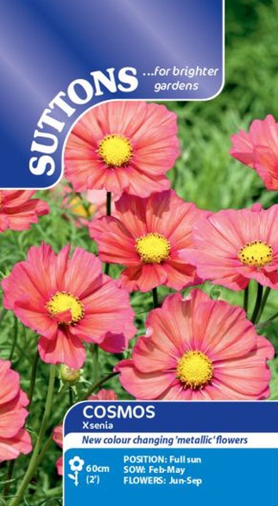 Cosmos Seeds - Xsenia