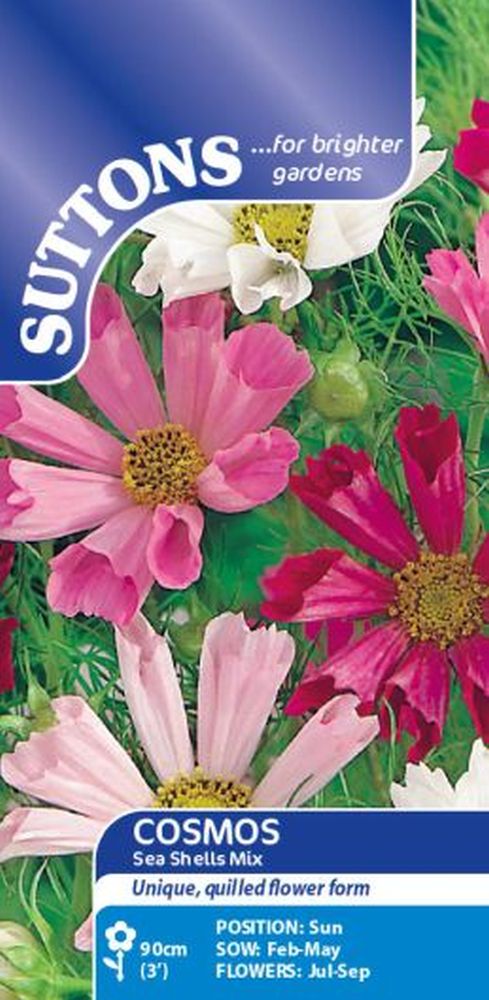 Cosmea Sea Shells Mix