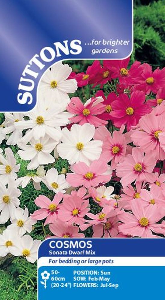 Cosmea Sonata Dwarf Mix