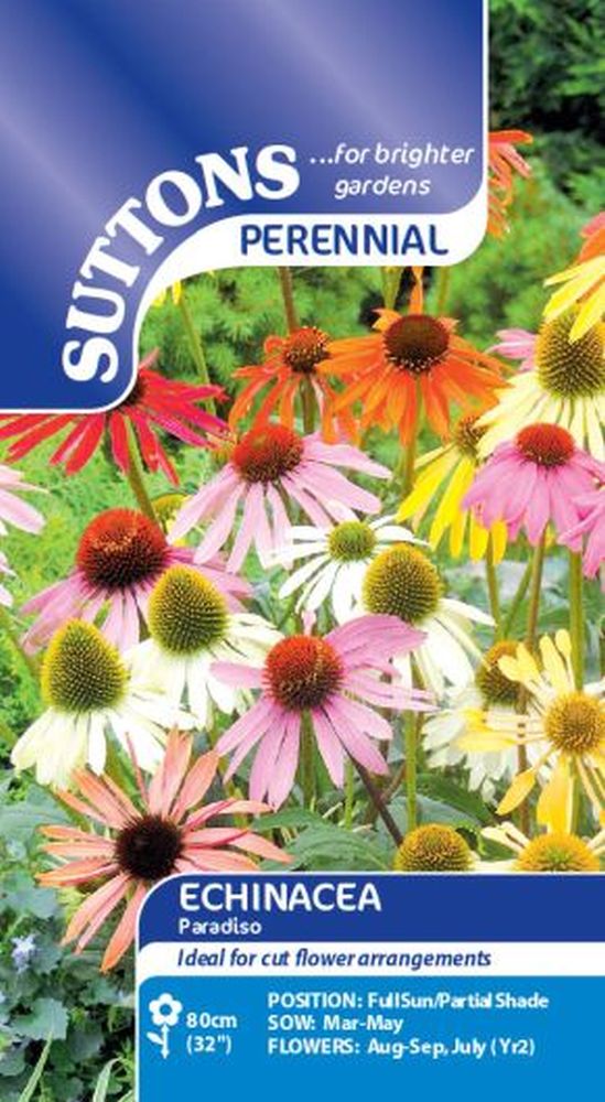 Echinacea Paradiso Mix