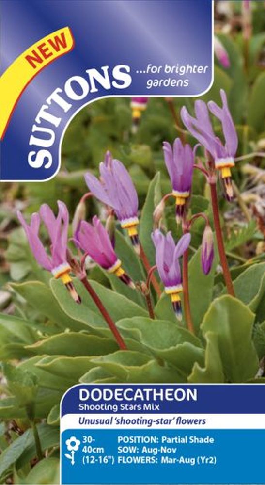 Dodecatheon Seeds - Shooting Star Mix