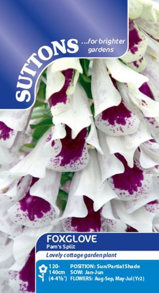 Digitalis Seeds - Pam's Split