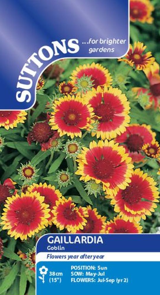 Gaillardia Goblin