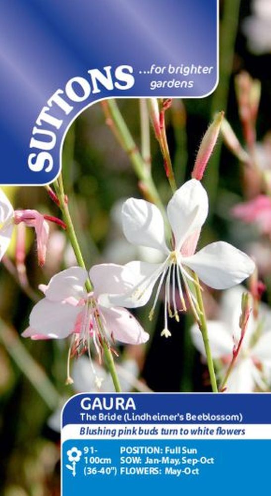 Gaura The Bride