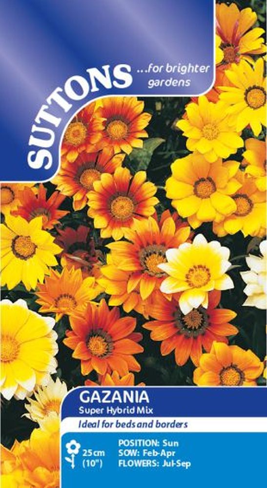 Gazania Super Hybrid Mix