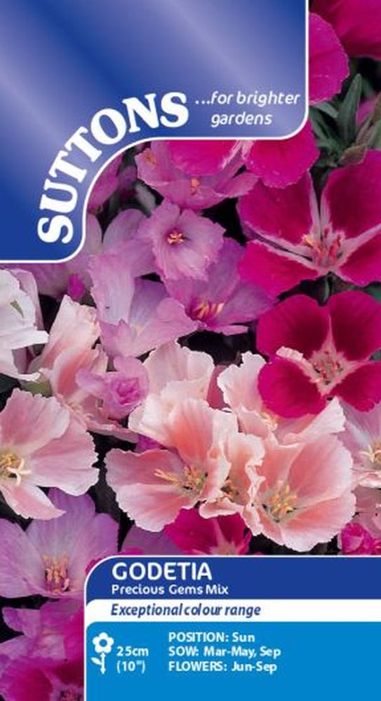 Godetia Seeds - Precious Gems Mix