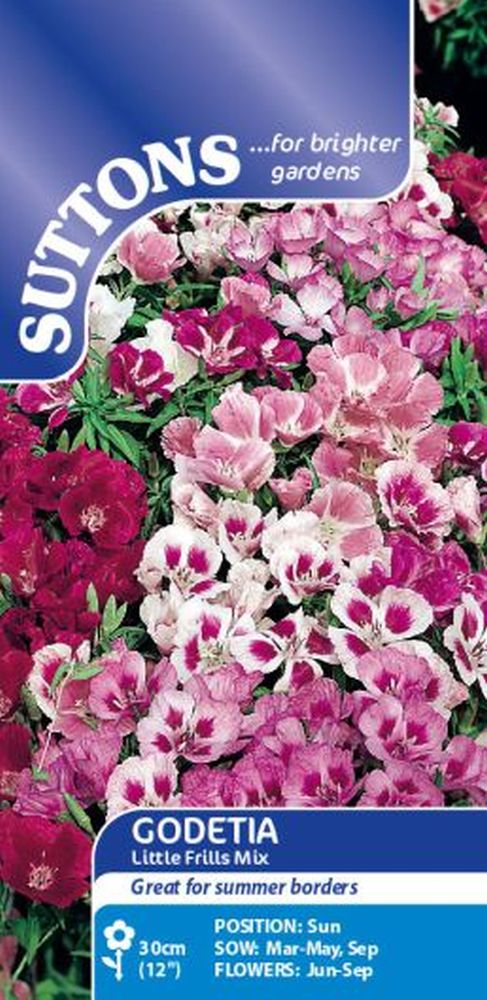Godetia Seeds - Little Frills Mix