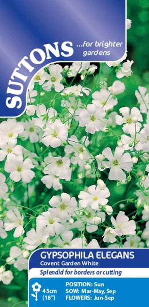 Gypsophila Seeds - Covent Garden White