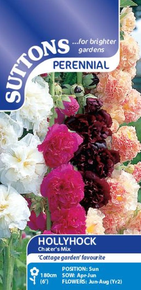 Hollyhock Seeds - Chater's Mix