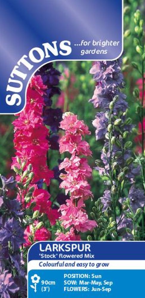 Larkspur Stock Flowered Mix