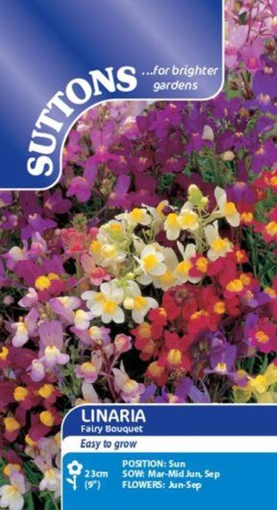 Linaria Fairy Bouquet