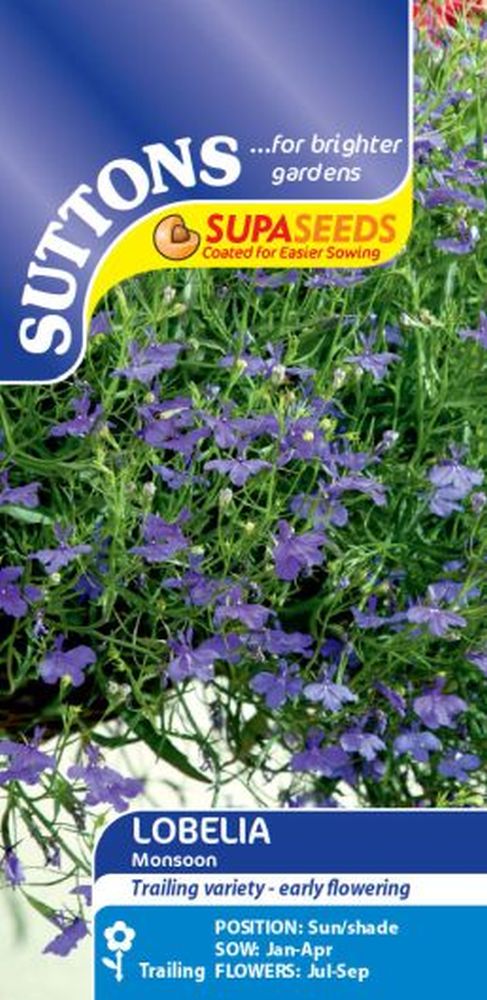 Lobelia Monsoon