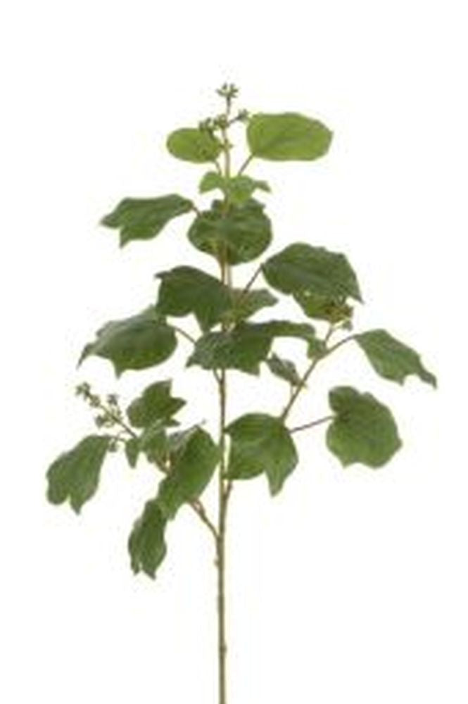 New French Ivy Spray Green70cm