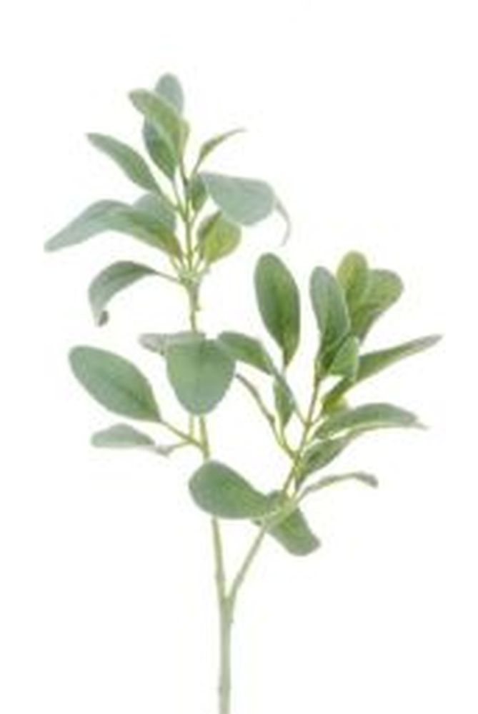 Lambs Ear Spray-71 Grey Green