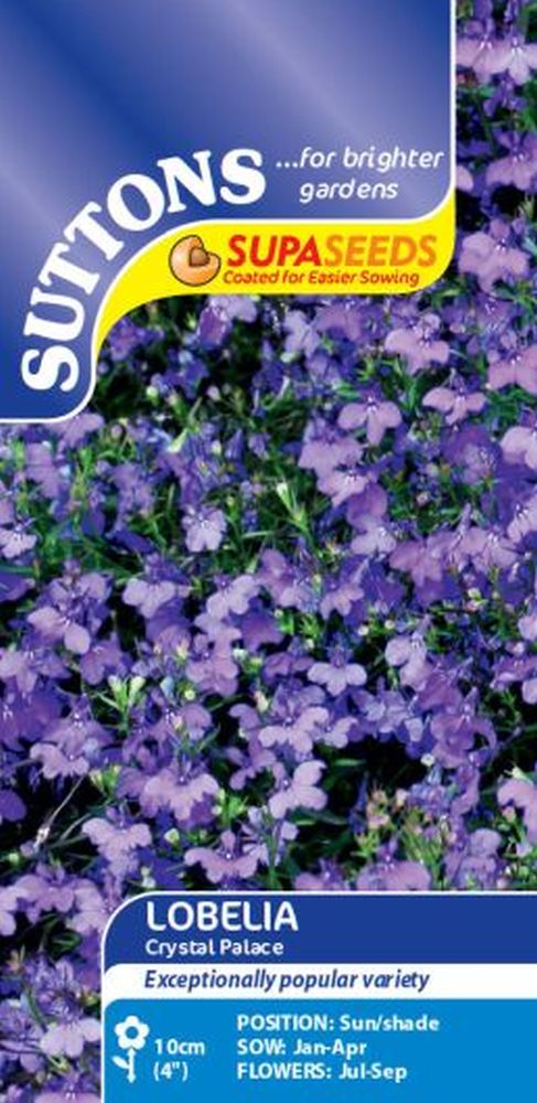 Lobelia Supacoat Crystal Palace