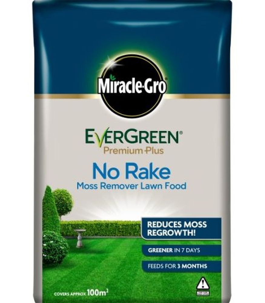 Evergreen No Moss No Rake 100m2