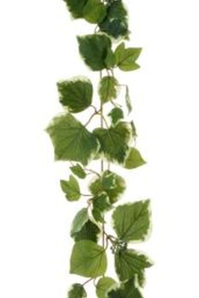 French Ivy Garland 183cm