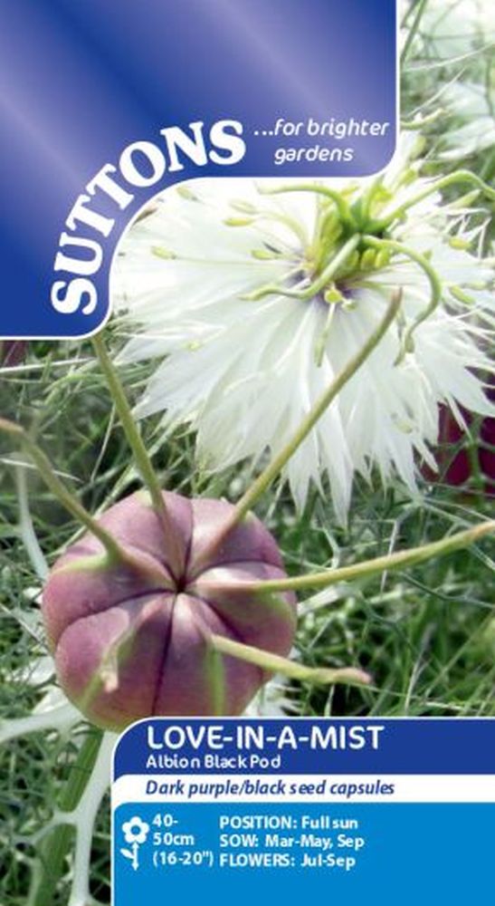 Love-In-A-Mist Seeds - Albion Black Pod